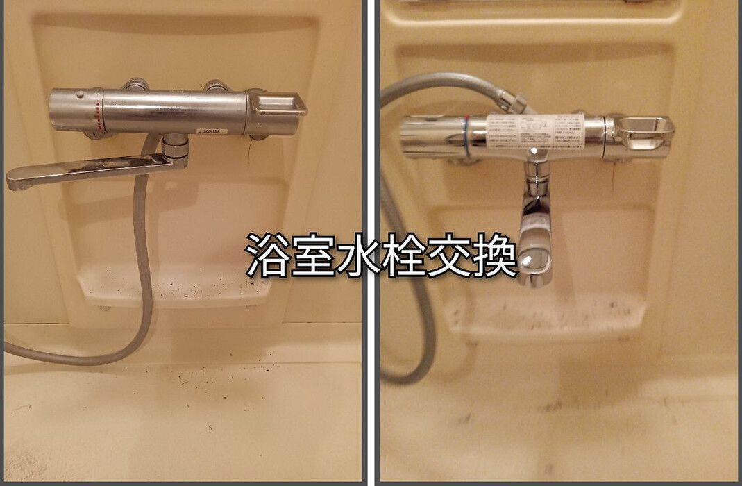 画像257